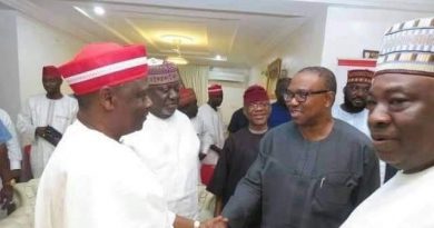 Peter Obi Meets Kwankwaso Few Hours After Dumping PDP, May Join NNPP