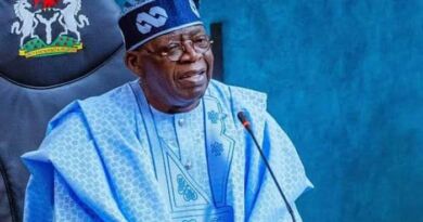 LG Autonomy: No Plan to Hijack LGs From You, Tinubu tells Govs.