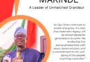 Awe-inspiring Makinde: A Leader of Unmatched Grandeur