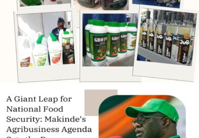 A Giant Leap for National Food Security: Makinde’s Agribusiness Agenda Sets the Pace