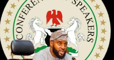 Legislature:Young, Bold and Reform-Driven, Ogundoyin’s Defining Legacy As Conference Chairman