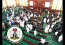 Reps Amend Electoral Act, Prescribe N10m Fine, Jail Term for Dual Party Membership