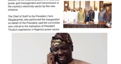 Incompetency : Adelabu’s Absence Sparks Questions as Tinubu Inaugurates Power Sector Committee