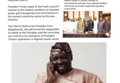 Incompetency : Adelabu’s Absence Sparks Questions as Tinubu Inaugurates Power Sector Committee