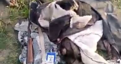 One Killed, Another Missing as Wild Elephant Invades in Iwere-Ile, Irepo LGA