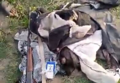 One Killed, Another Missing as Wild Elephant Invades in Iwere-Ile, Irepo LGA