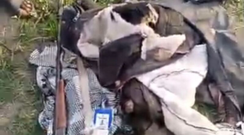 One Killed, Another Missing as Wild Elephant Invades in Iwere-Ile, Irepo LGA