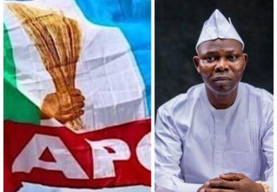 APC Primary: PDP Chieftain Raises Alarm Over Alleged Inflated APC Figures