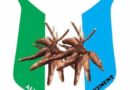 APM Condemns Growing Waste Management Challenges Across Lagos