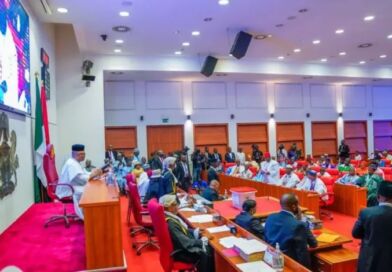 Senate Passes Constitutional Amendment Bill to Establish State Police