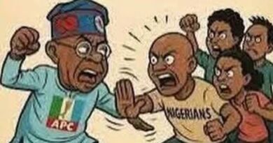 A MUST READ: Why Other Nigerian Opposition Parties Must Rally Behind APM to Defeat APC in 2027|Biola Alebiosu