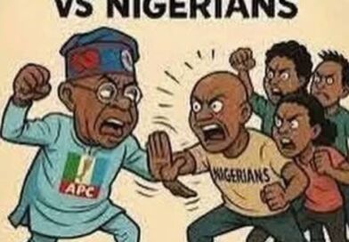 A MUST READ: Why Other Nigerian Opposition Parties Must Rally Behind APM to Defeat APC in 2027|Biola Alebiosu