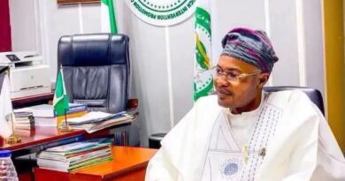 List Of Govt Officials, Agencies Linked To Controversial Presidential Agency