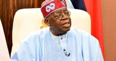 Tinubu Orders Investigation of Google, Meta, X, Others