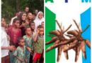 APM Lagos Welcomes Release of Abducted Oyo Pupils, Renews Call for State Police APM Lagos Welcomes Release of Abducted Oyo Pupils, Renews Call for State Police