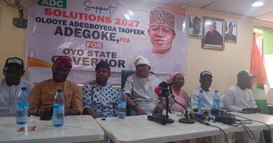 2027: I’m Not an Underdog, I’ll Defeat Other Candidates – Adegoke