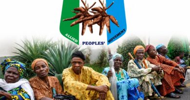 Lagos Pension Crisis: APM Gives Sanwo-Olu Fresh Demand to Pay Retirees