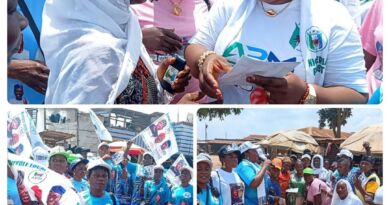 2027: Wife of Oluyole Reps Candidate Leads APM Women on Grassroots Mobilization, Door-to-Door Campaign