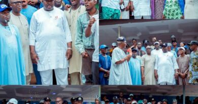 2027: Ilaji Political Movement, 33 LG Iyaloja, Youth, Students, Groups Back Tinubu, Alli