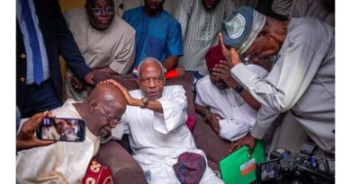 2027: Afenifere Endorses Tinubu, Urges Peaceful Campaigns