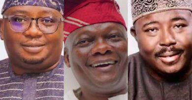 Alli’s APC ticket a misfit for 2027, Adelabu, Folarin far better alternatives — GSM Advocates